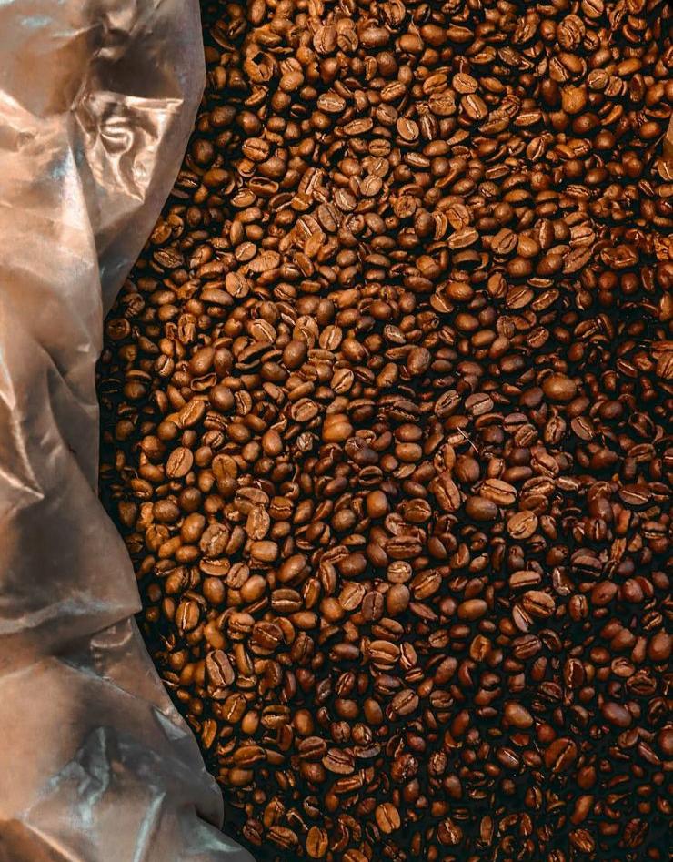 Green Coffee Beans | Arabica & Robusta | Export Quality